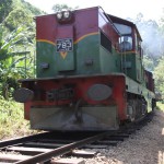 Beliebtes Transportmittel in Sri Lanka - Der Zug