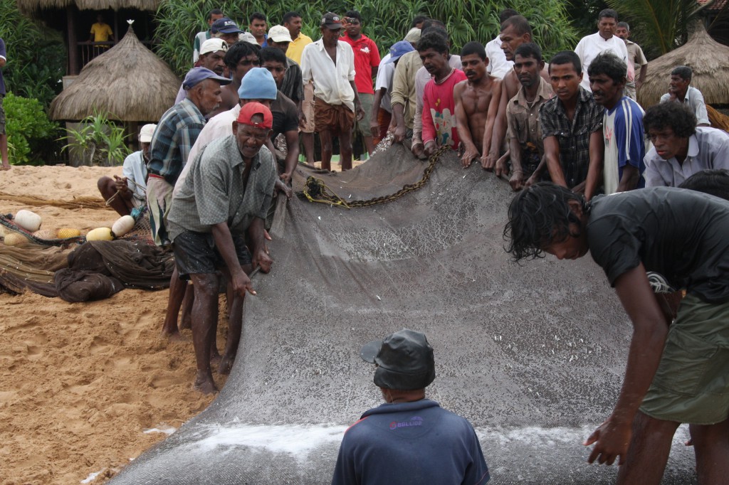 Fischer beim Einholen des Netzes am Strand von Induruwa