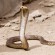 Giftige Kobra in Sri Lanka