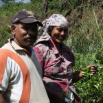 Sri Lankisches Ehepaar auf den Teefeldern von Ella