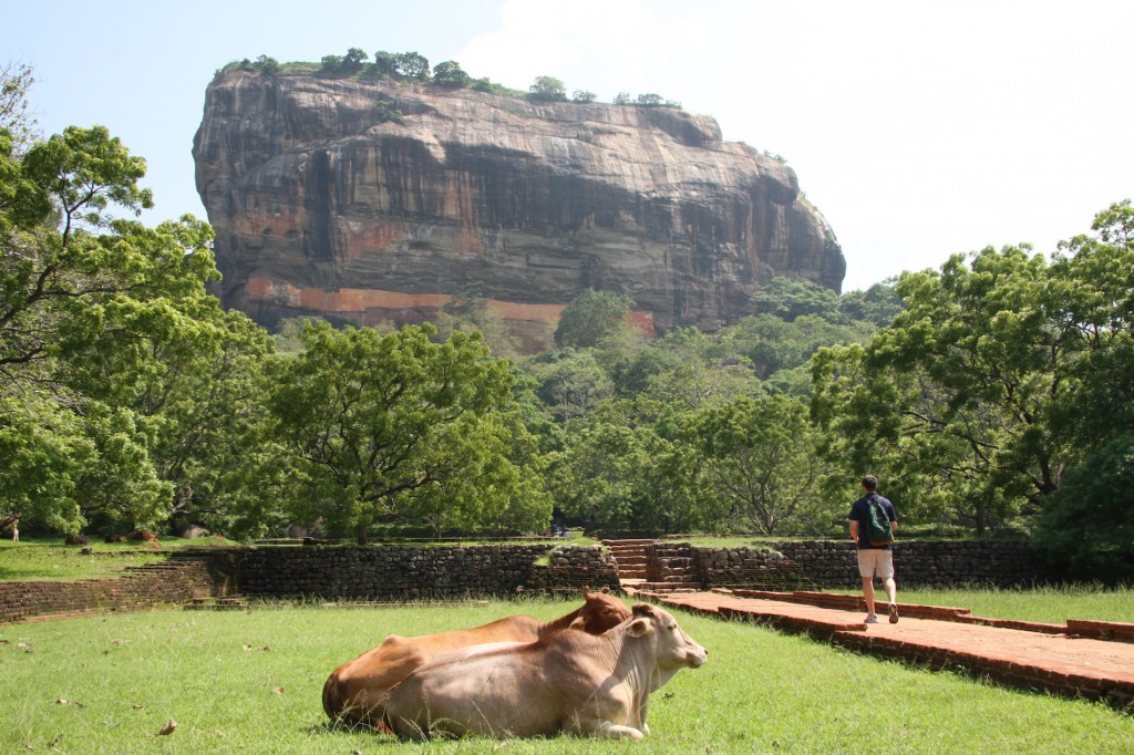 Der Sigiriya Felsen in Sri Lanka