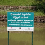 Auf bestimmte Hinweise sollte man in Sri Lanka achten ; )